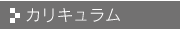 カリキュラム