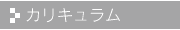 カリキュラム